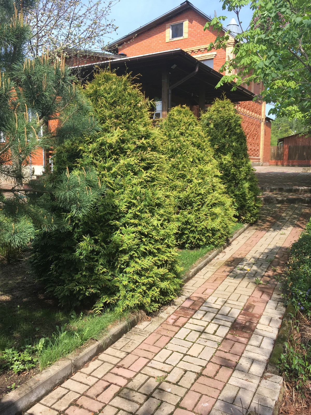 Обложка проекта: Сад в Бабынинском районе Калужской области