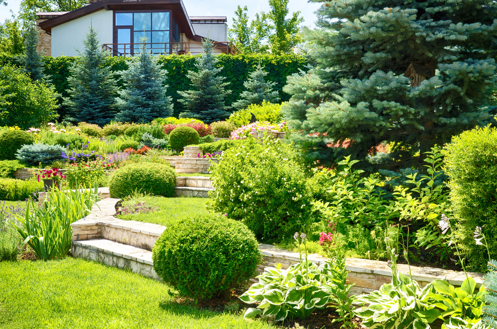 Средиземноморский