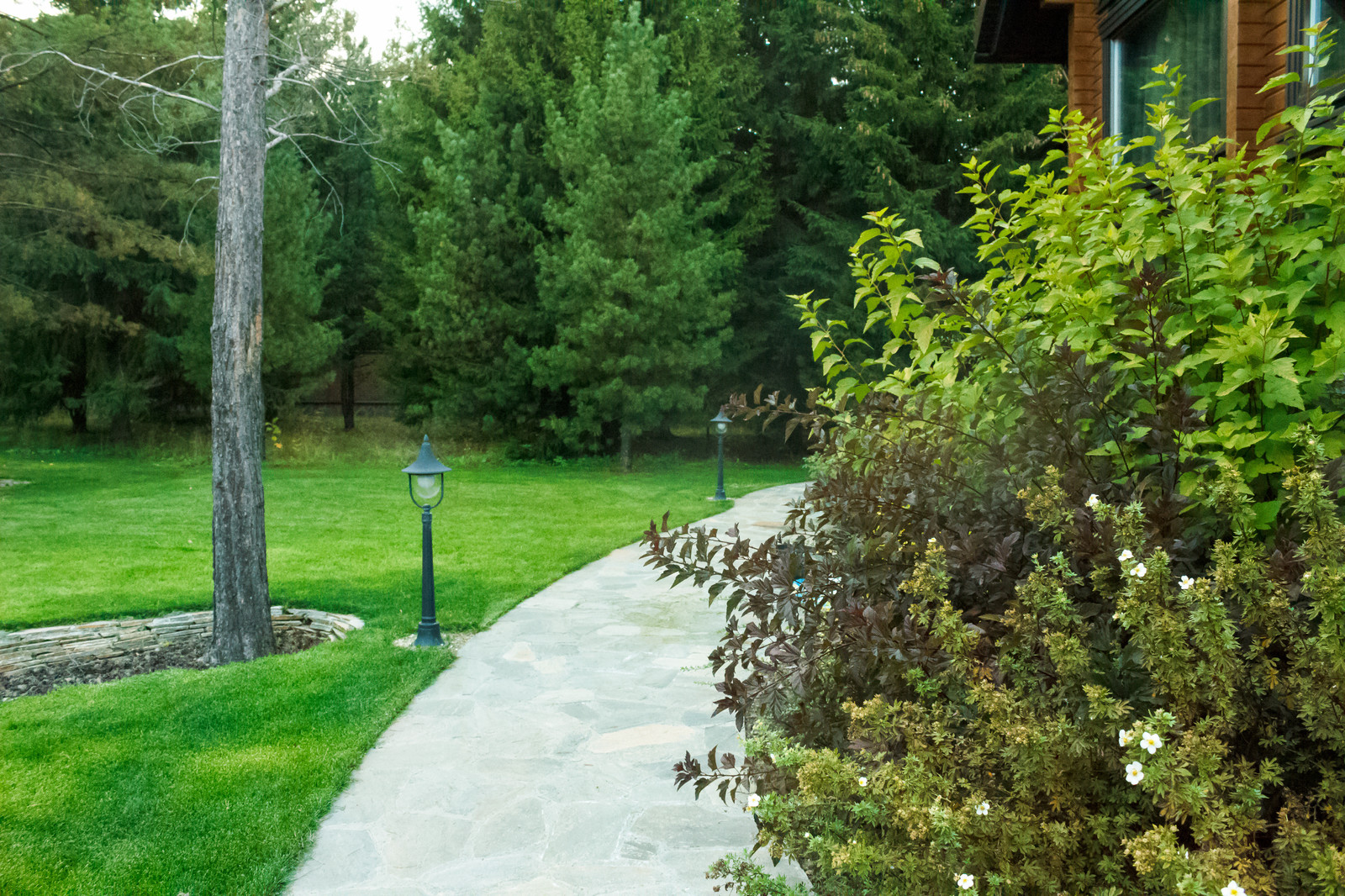 Малоуходный сад