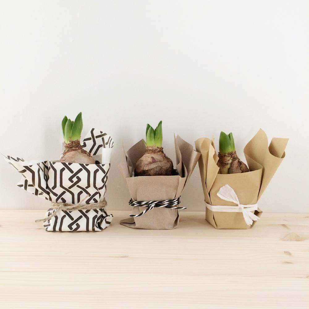 Фотоохота: поделки из бумаги своими руками — 45 идей