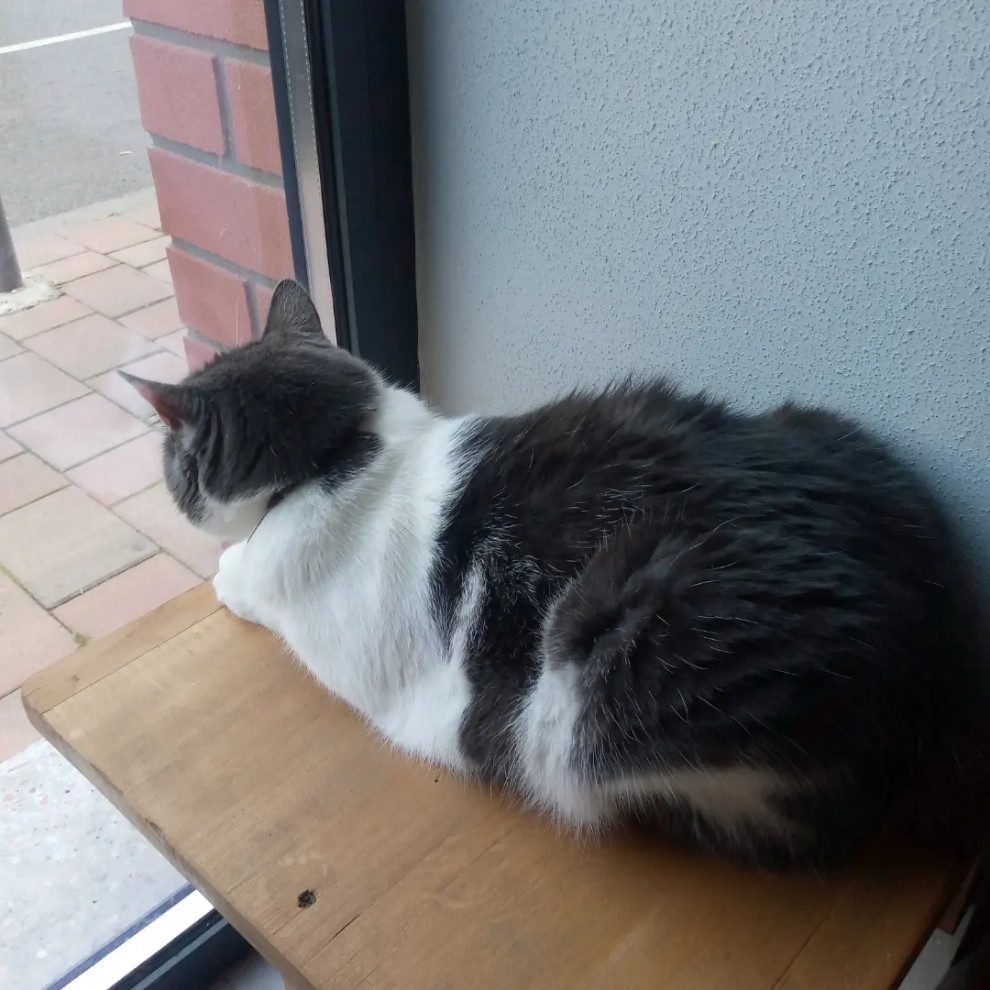 Проців Олександр