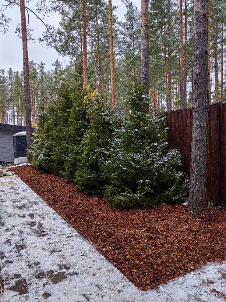 Обложка проекта: Сад в лесу