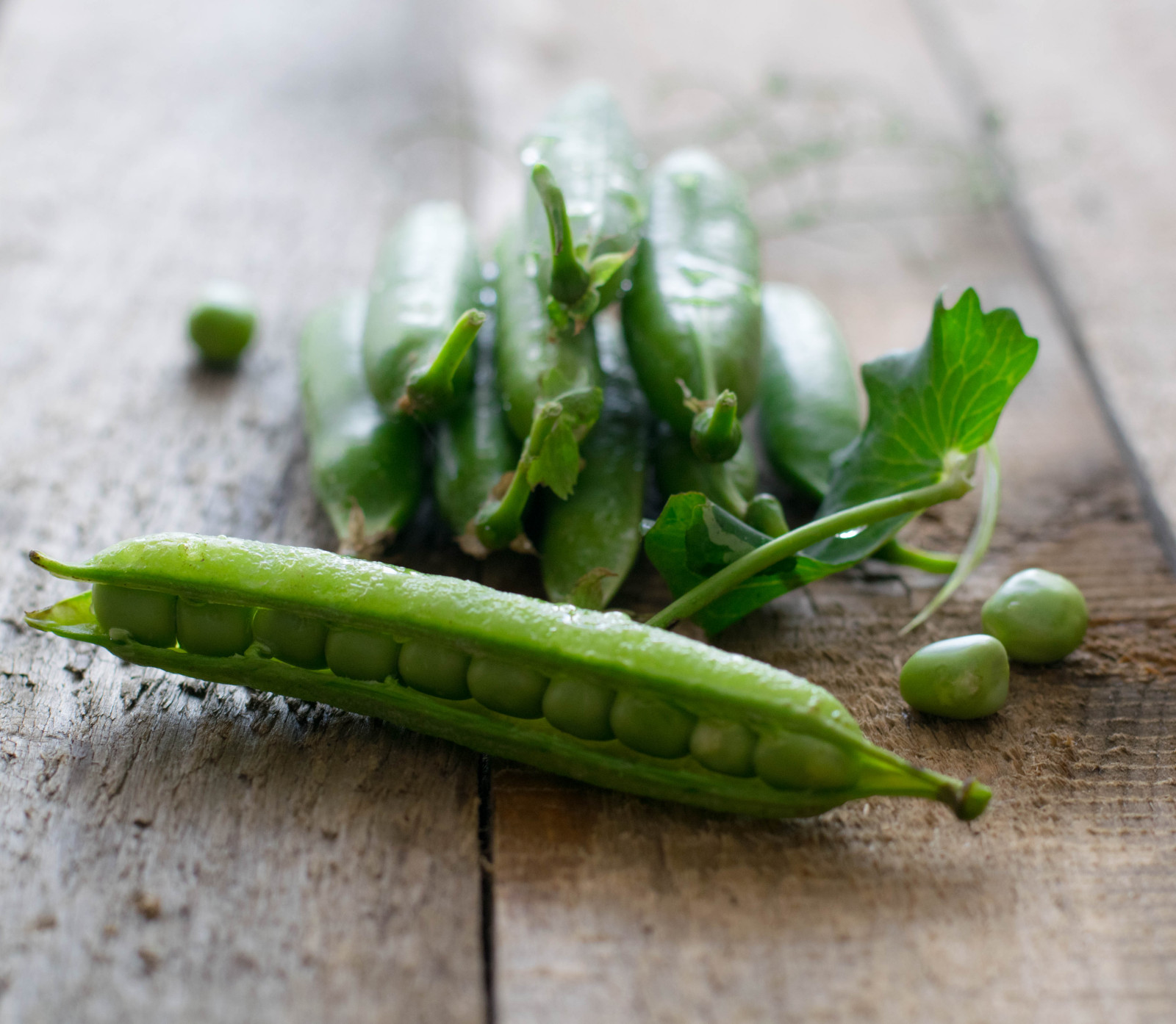 предметная фотография