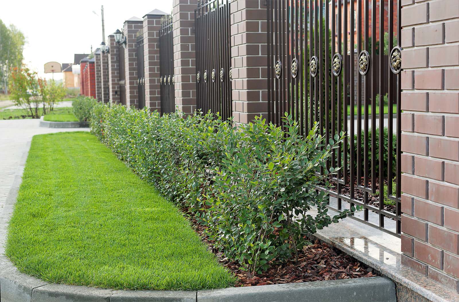 Вавиловец 1