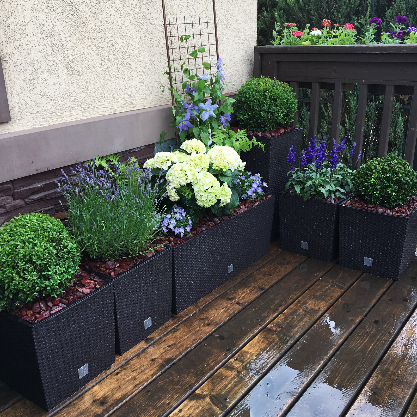 Летний сад на террасе