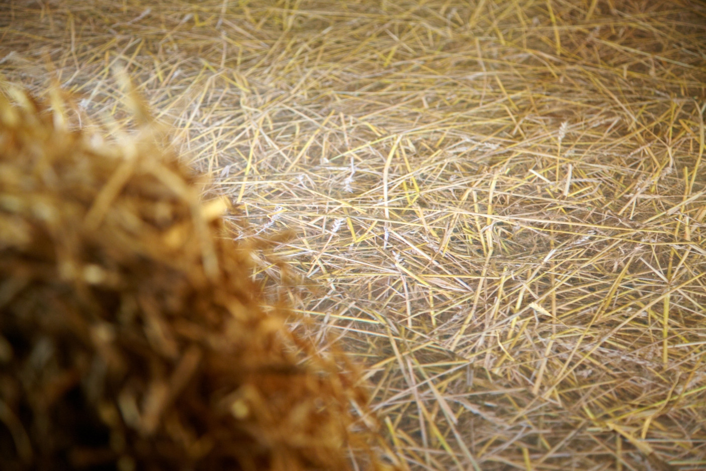 Сено, солома, кедр и баня. Фазенда (Первый канал)