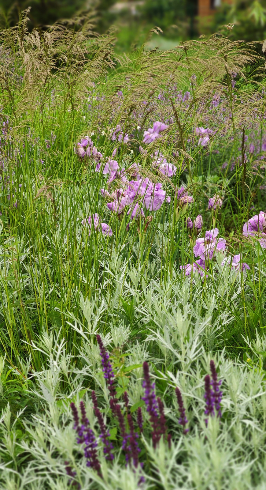 Проект "Волга"