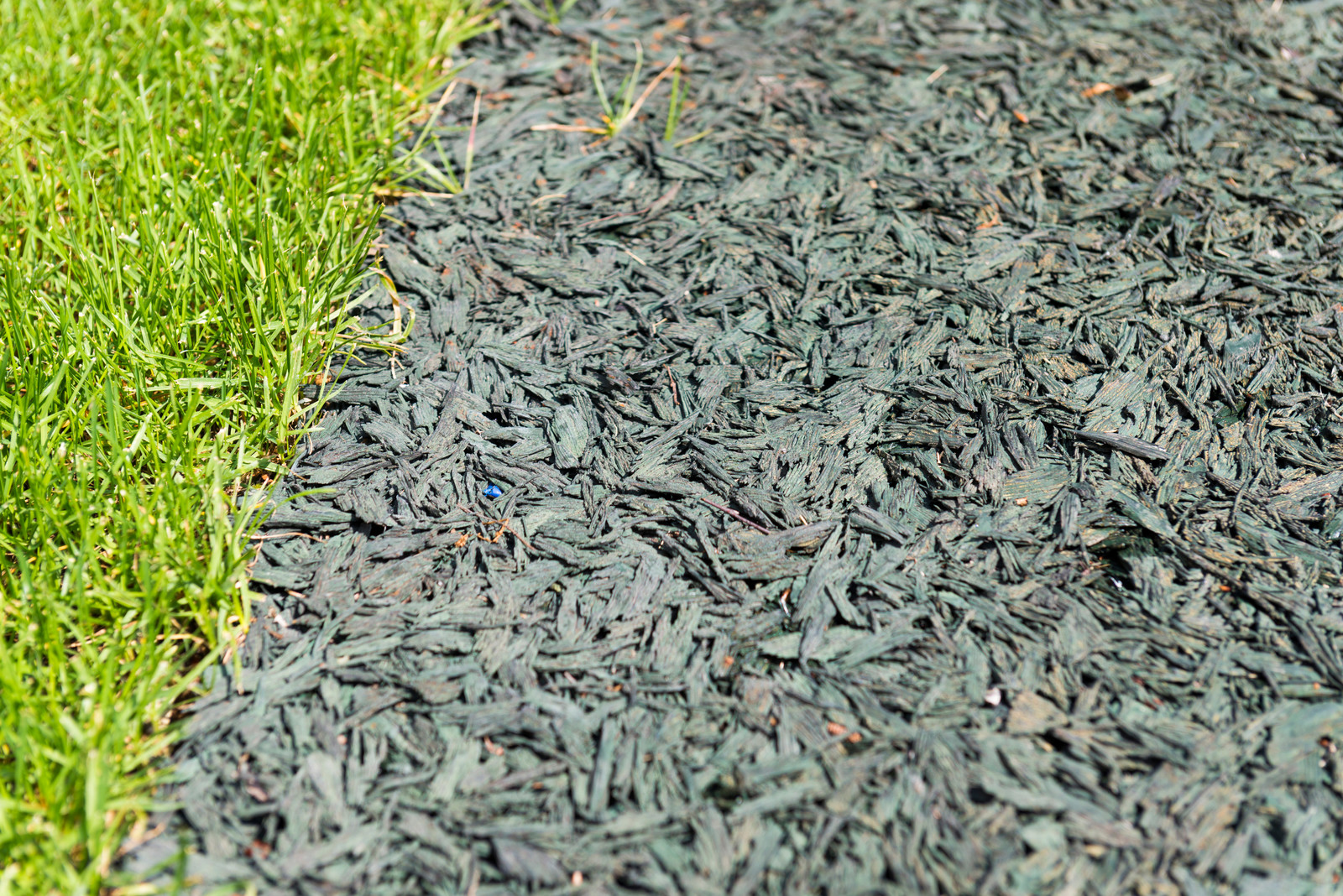 Летова роща