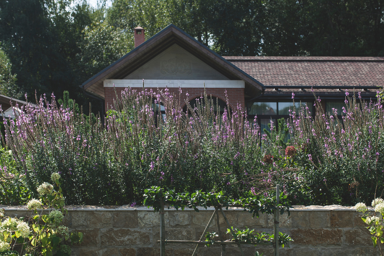 Русский сад с французским шиком