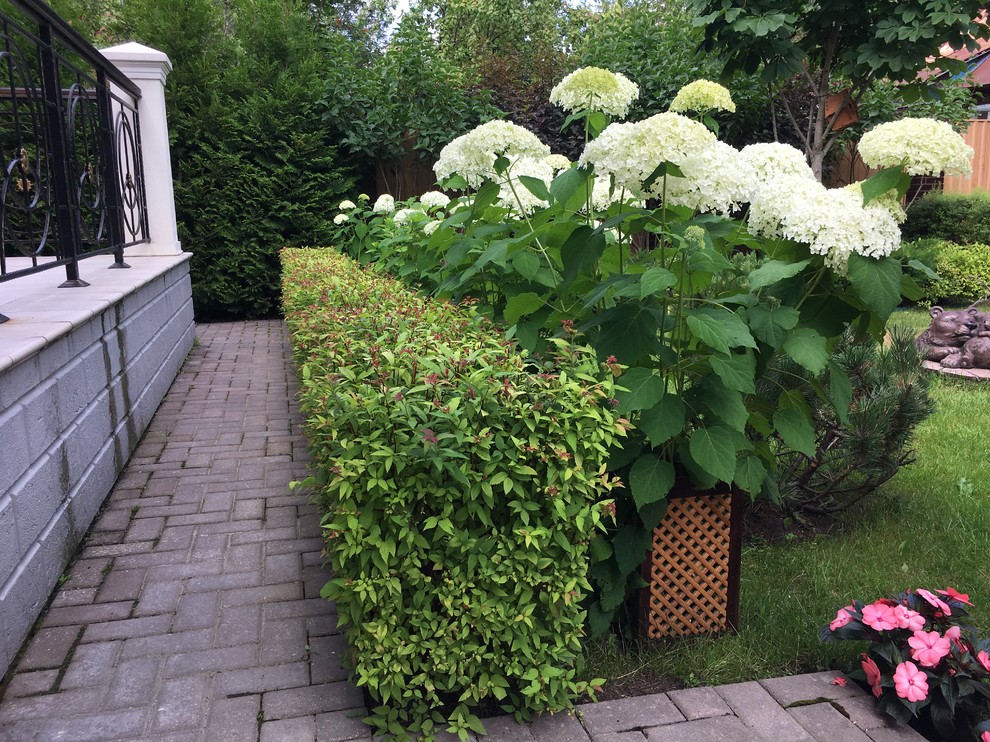 Обложка проекта: Дворик на 2-х сотках