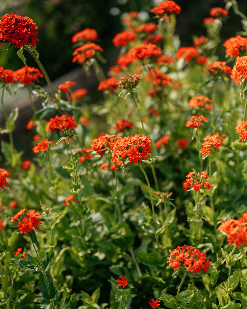 Обрезка деревьев