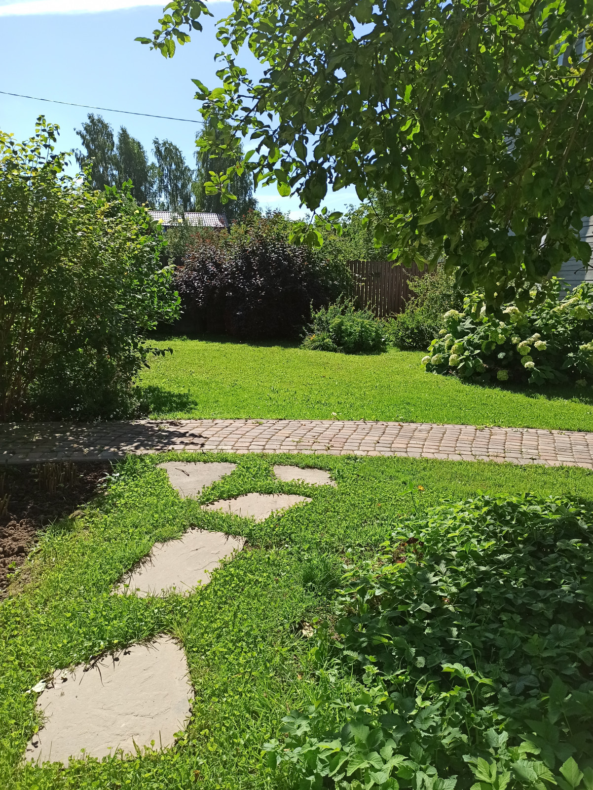 Ландшафт сада в 6 соток.