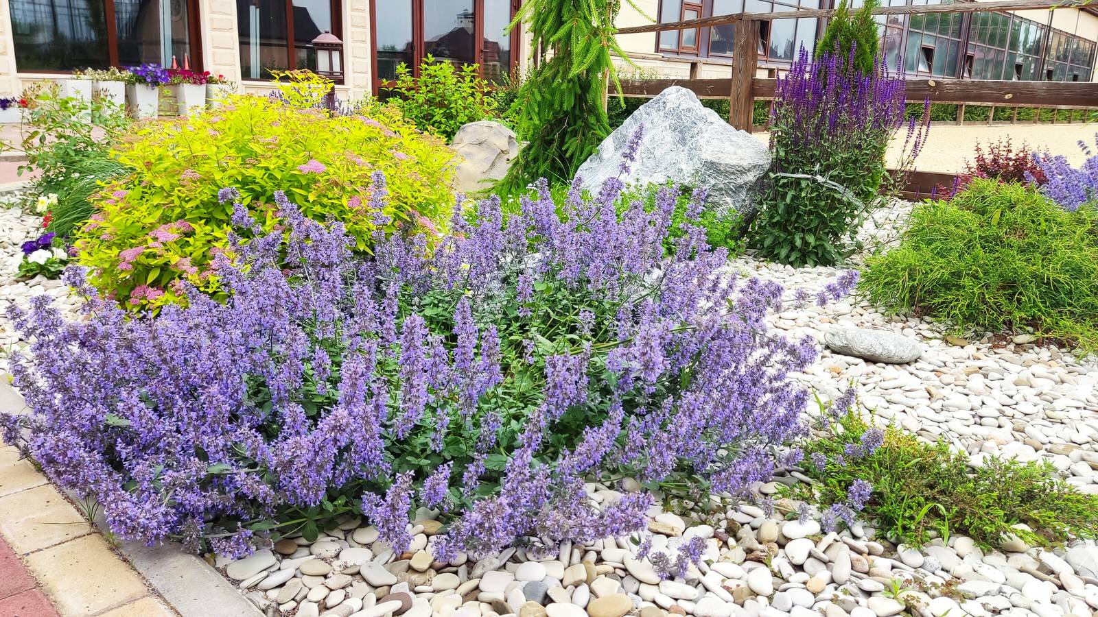 Композиции в саду