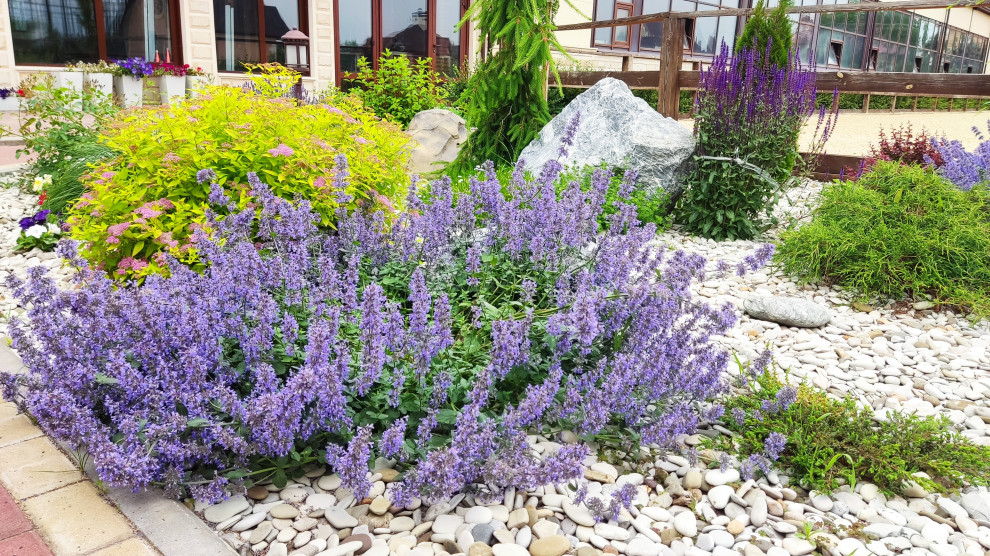 Композиции в саду