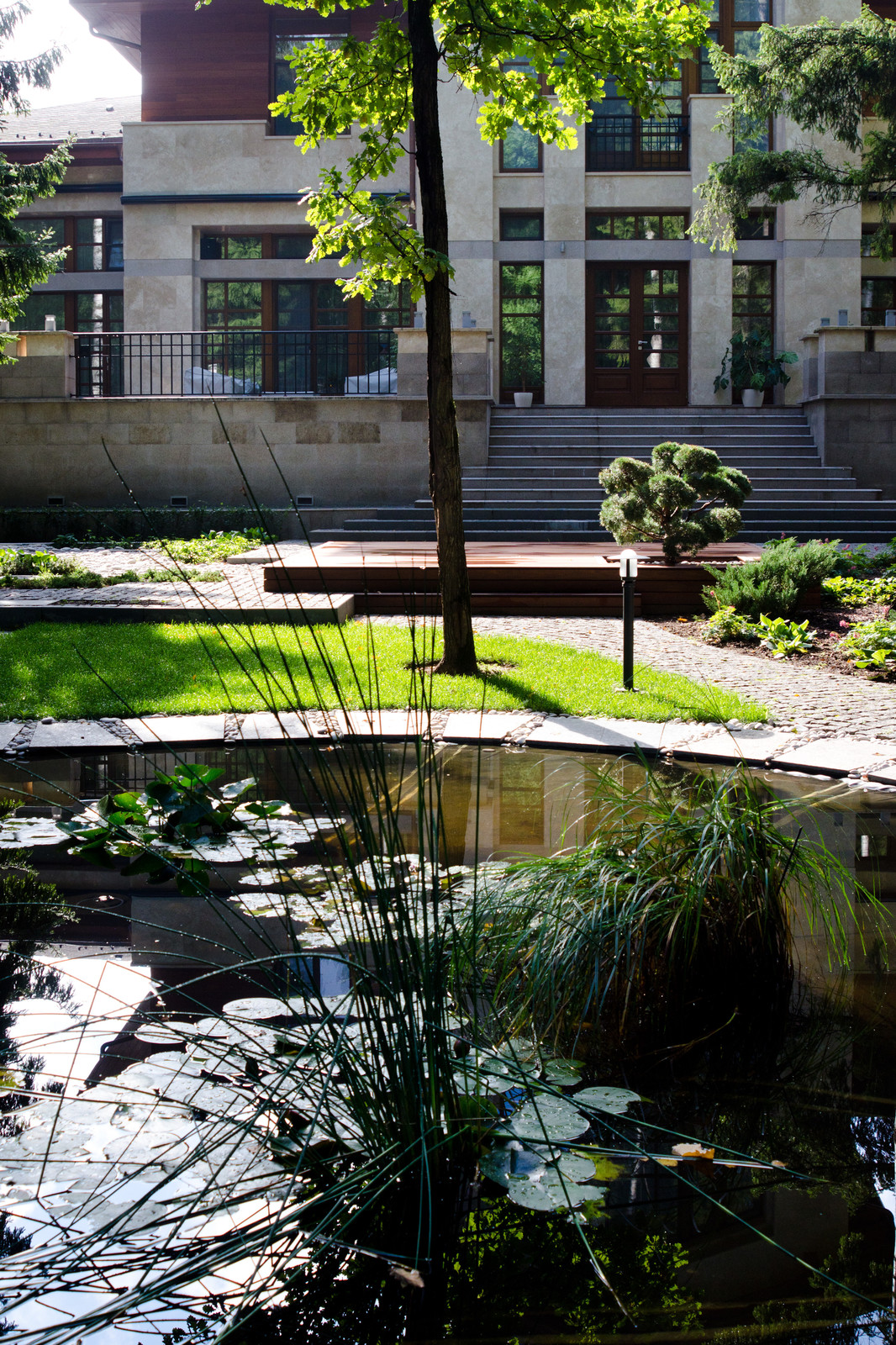 Глянцевый лес