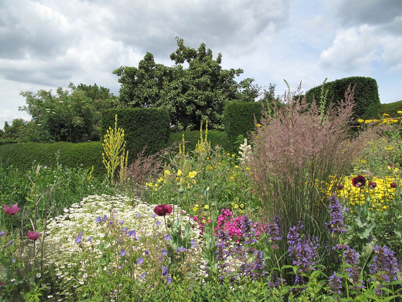 Обложка проекта: Наши статьи: "В стиле импрессионизма. Рисуем крупными мазками..."
