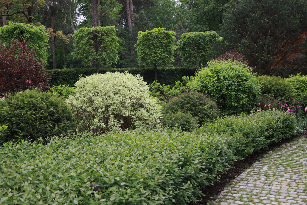 Сад в Серебрянном Бору