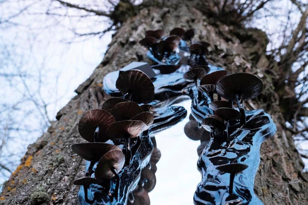 Обложка проекта: все работы 3