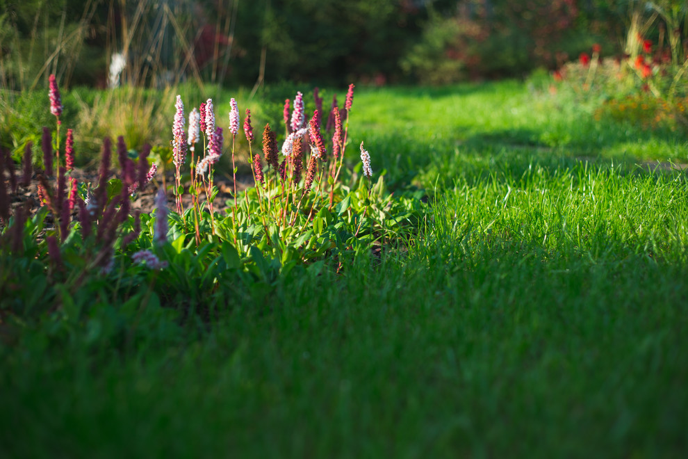 Регулярная классика