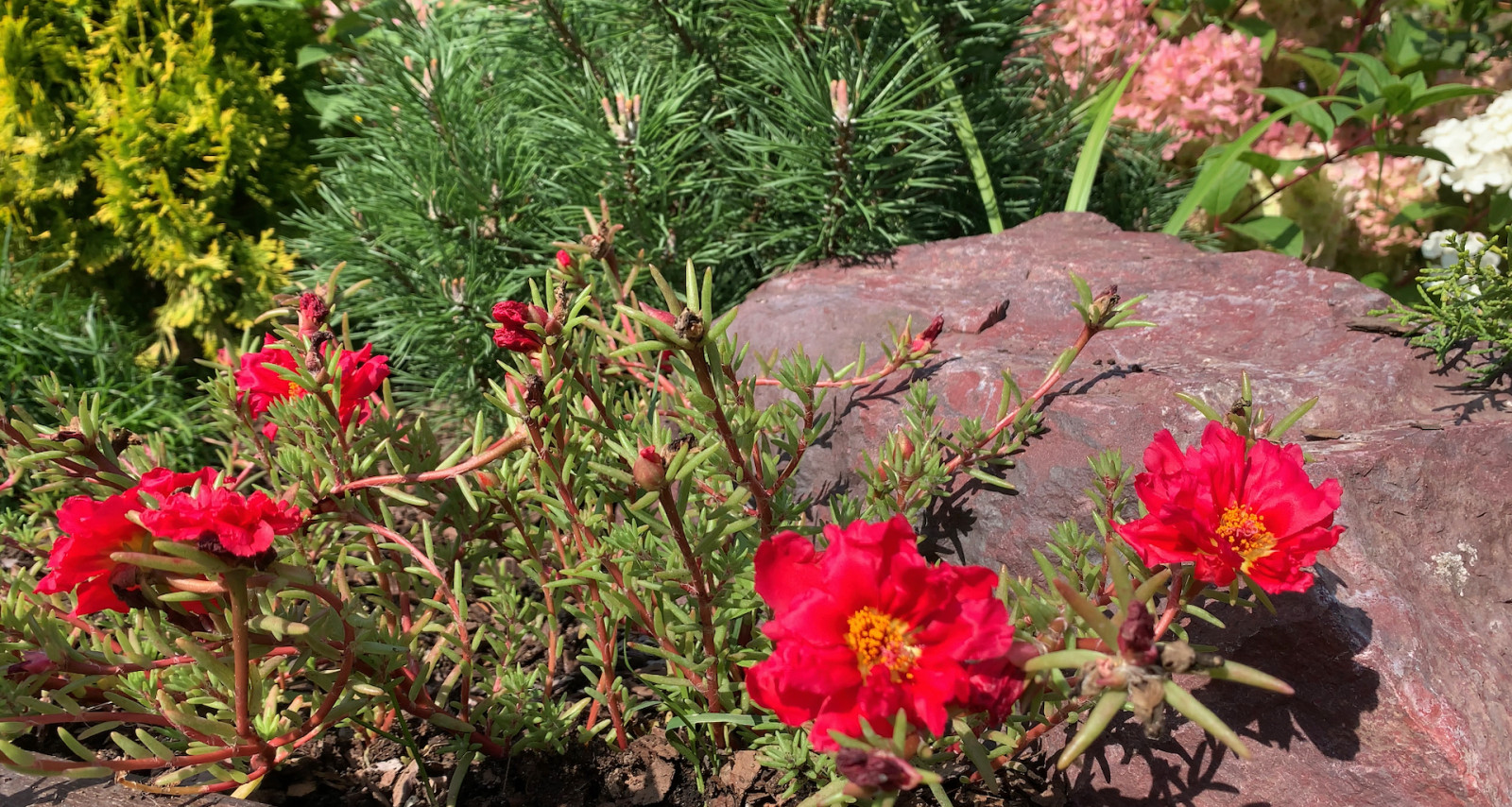 Ландшафтный дизайн