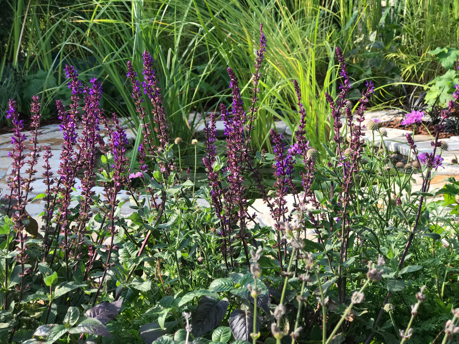 Обложка проекта: Cottage Garden "Secret Garden" Тайная комната