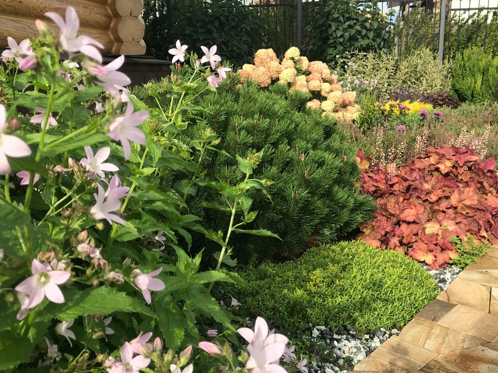 Легкий фьюжн 0.25 га