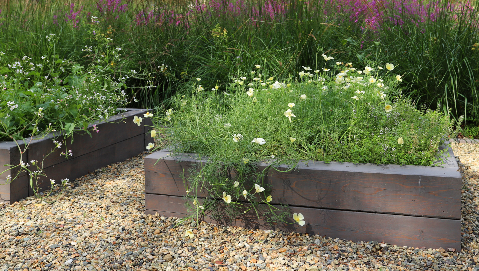 Сад у тёмных бревен