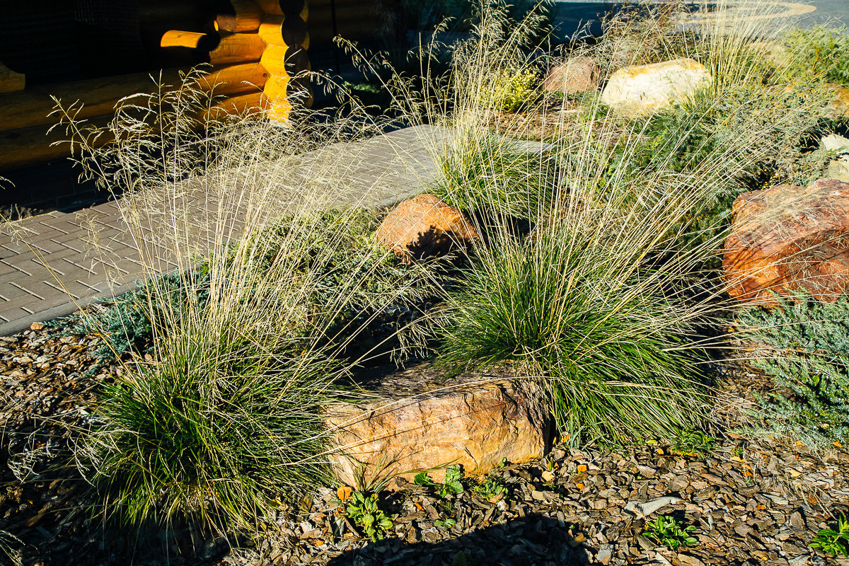 Русские Забавы