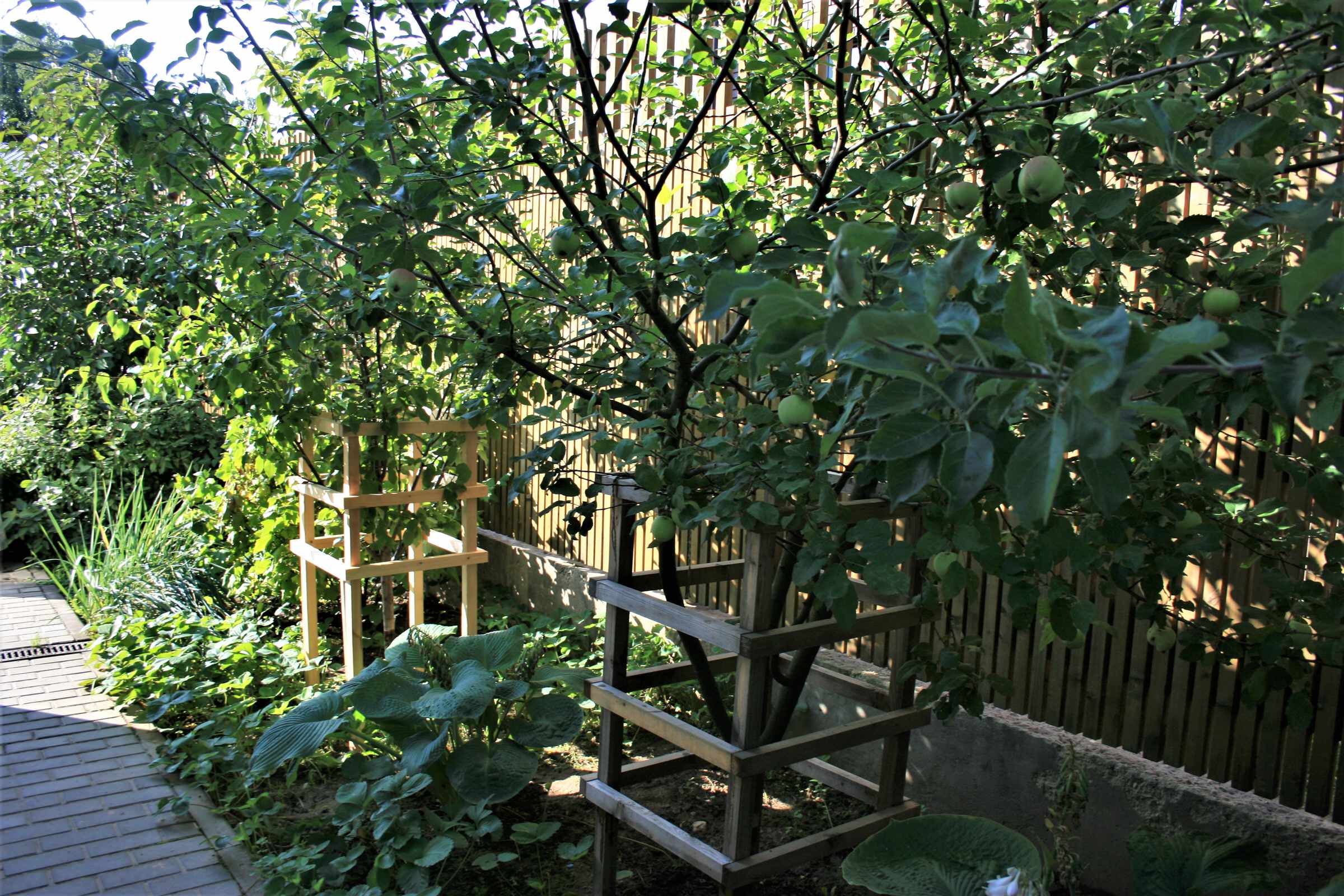 Сад в Летово