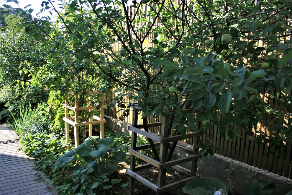 Сад в Летово