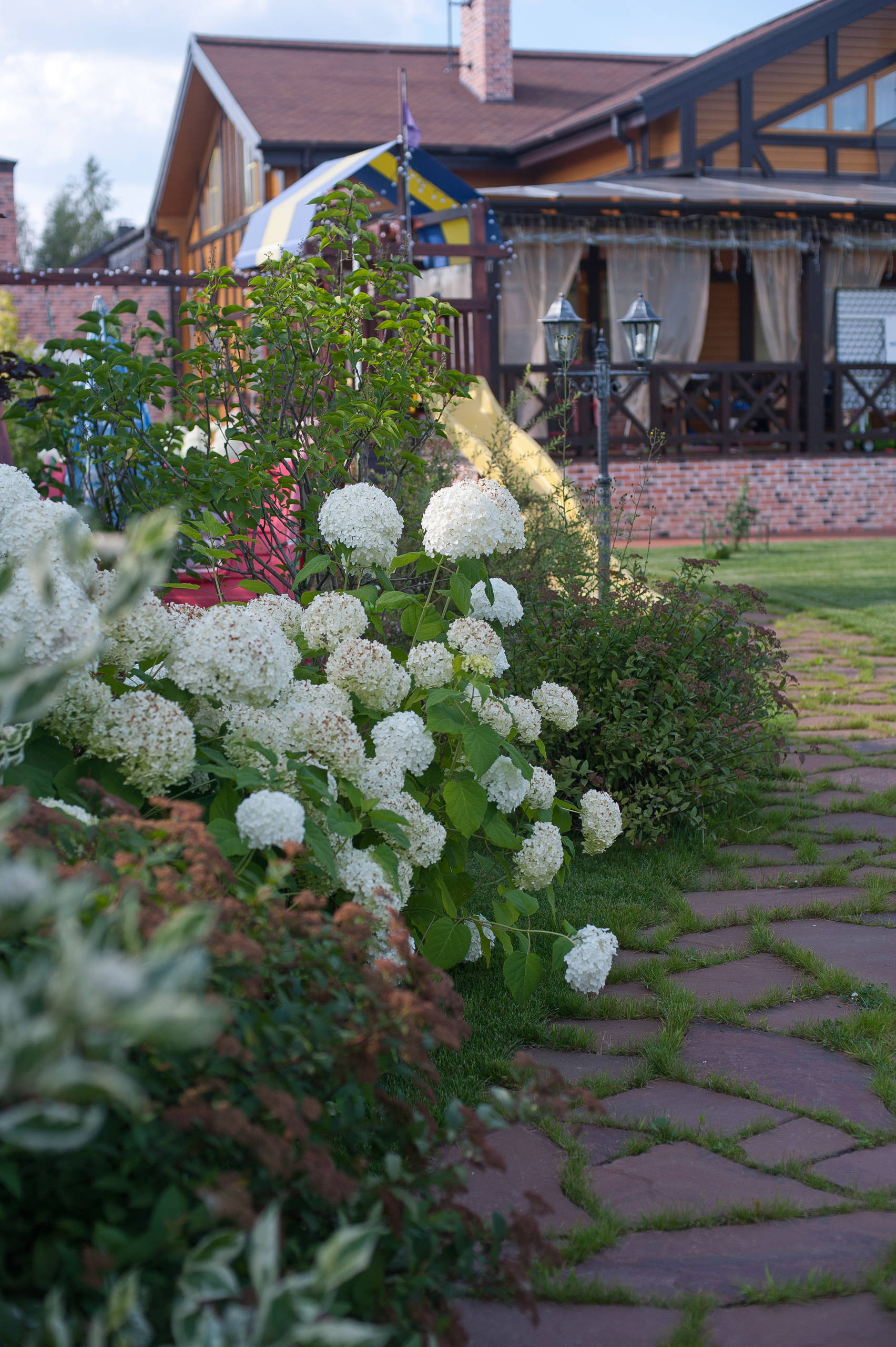 Приоритеты: Как ухаживать за садом, если времени в обрез