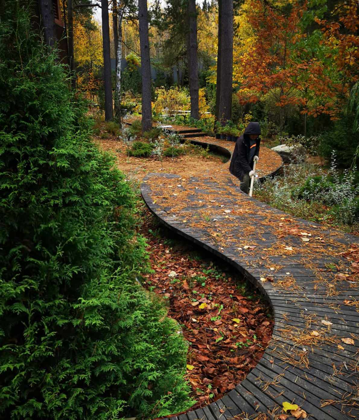 Ландшафтный дизайн участка с лесом В Покровском-Рубцове