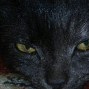 Мария Костырина