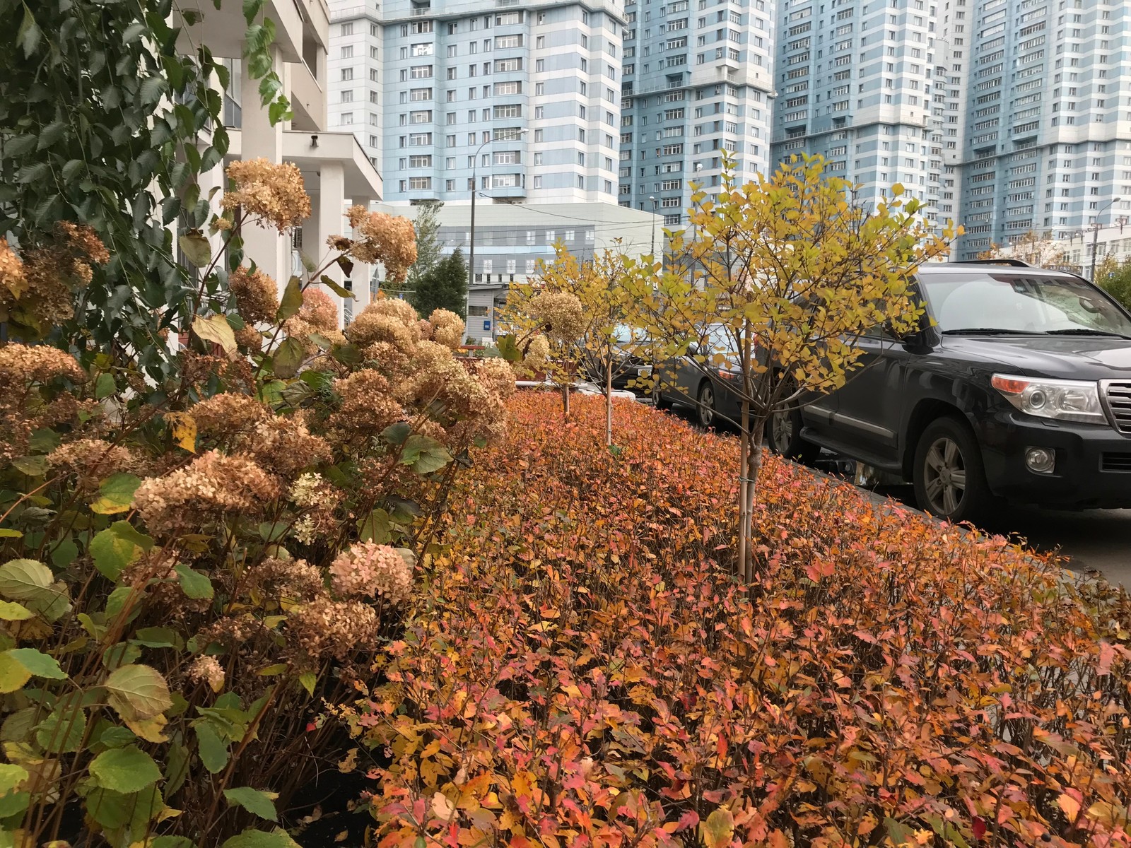 Оформление входа в подъезд многоквартирного дома на Ходынке ЖК "Гранд парк"
