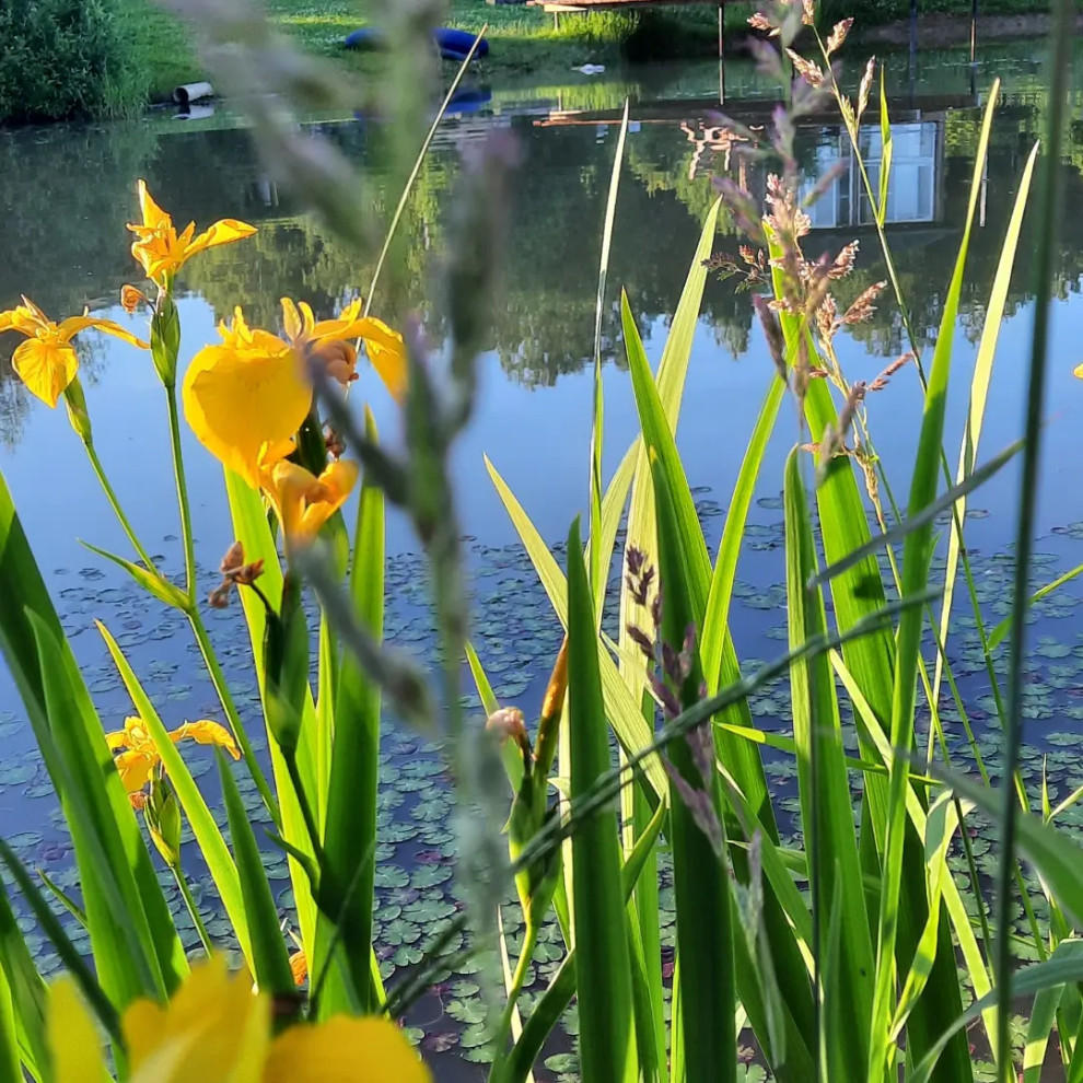 Пермакультурная личная усадьба.