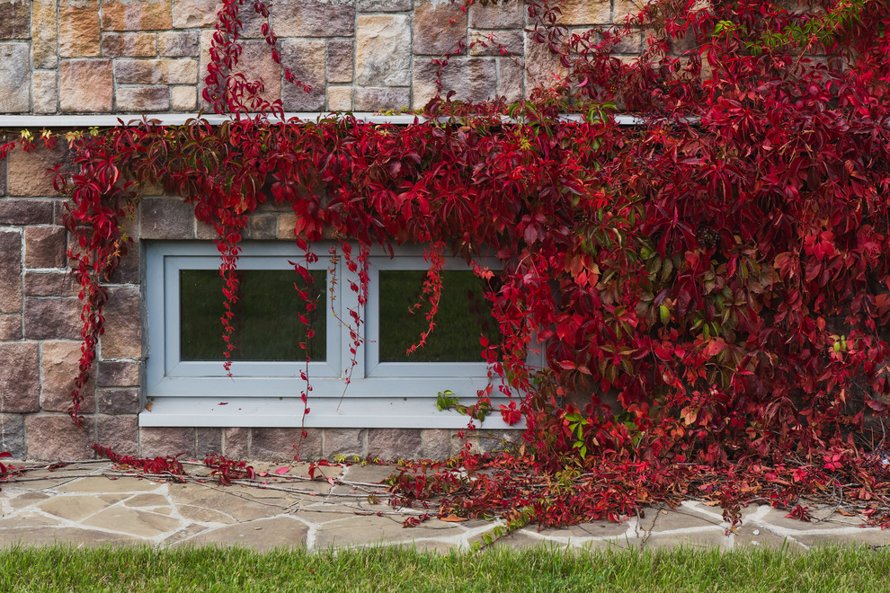 Календарь на октябрь: Работы в саду и на даче