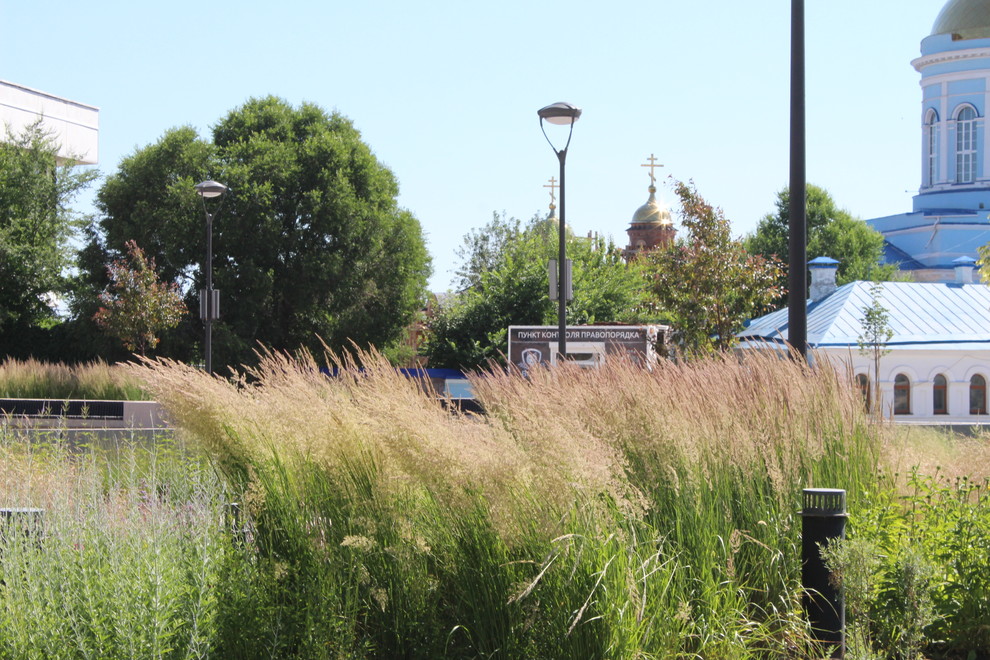 Цветники Советской площади