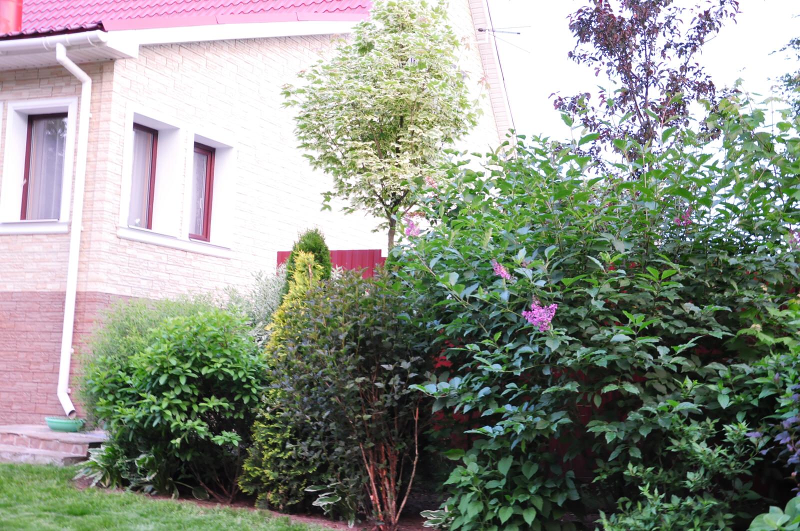 д. Громково - Уход за садом - 100% качество