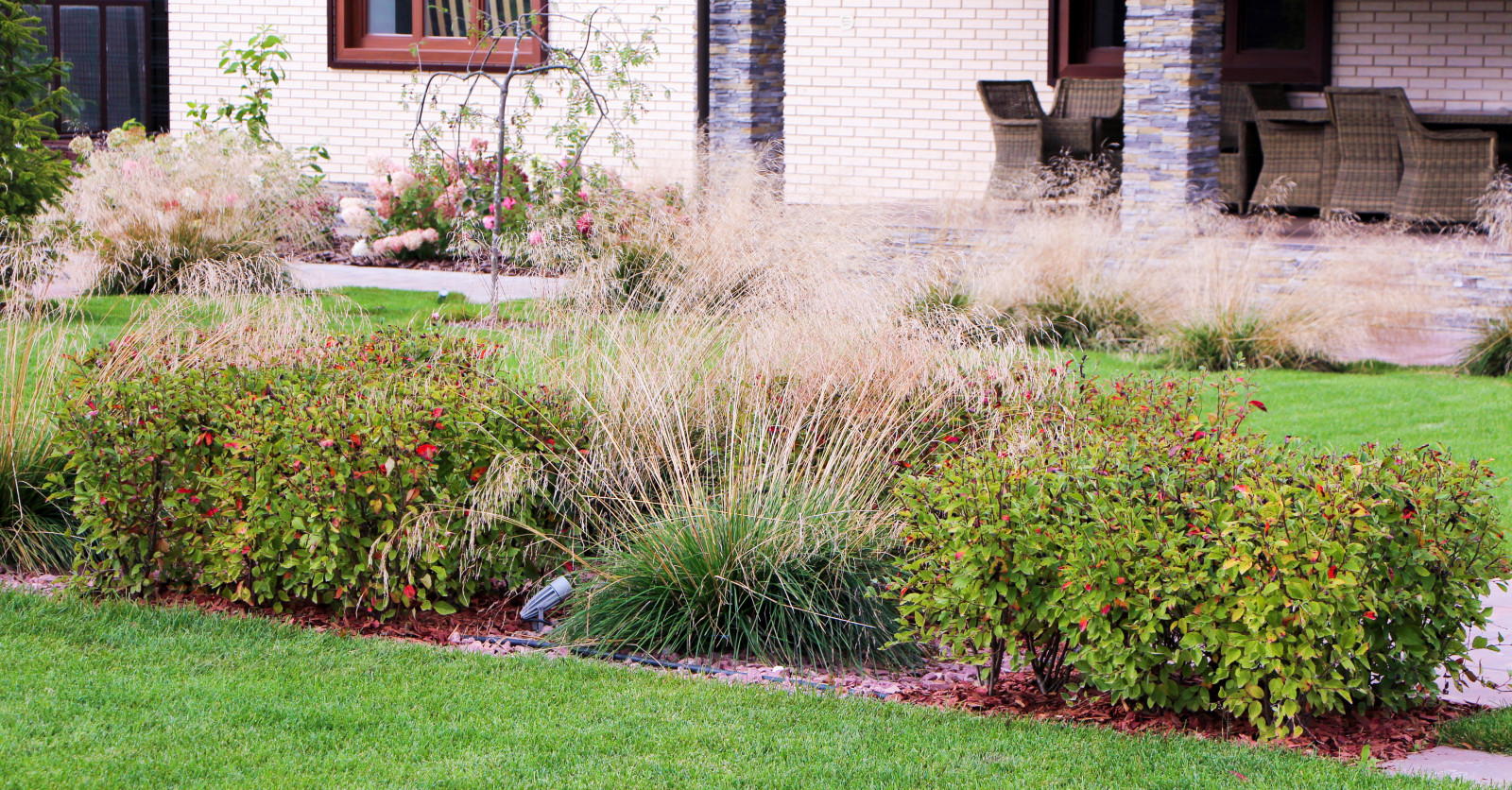 Петровское, 2018-2020 гг.