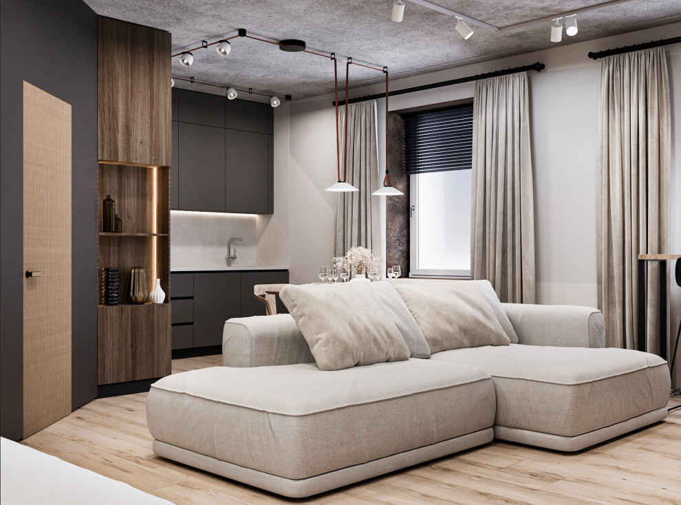 КУХНЯ-ГОСТИНАЯ В СТИЛЕ ЛОФТ, 45 КВ.М