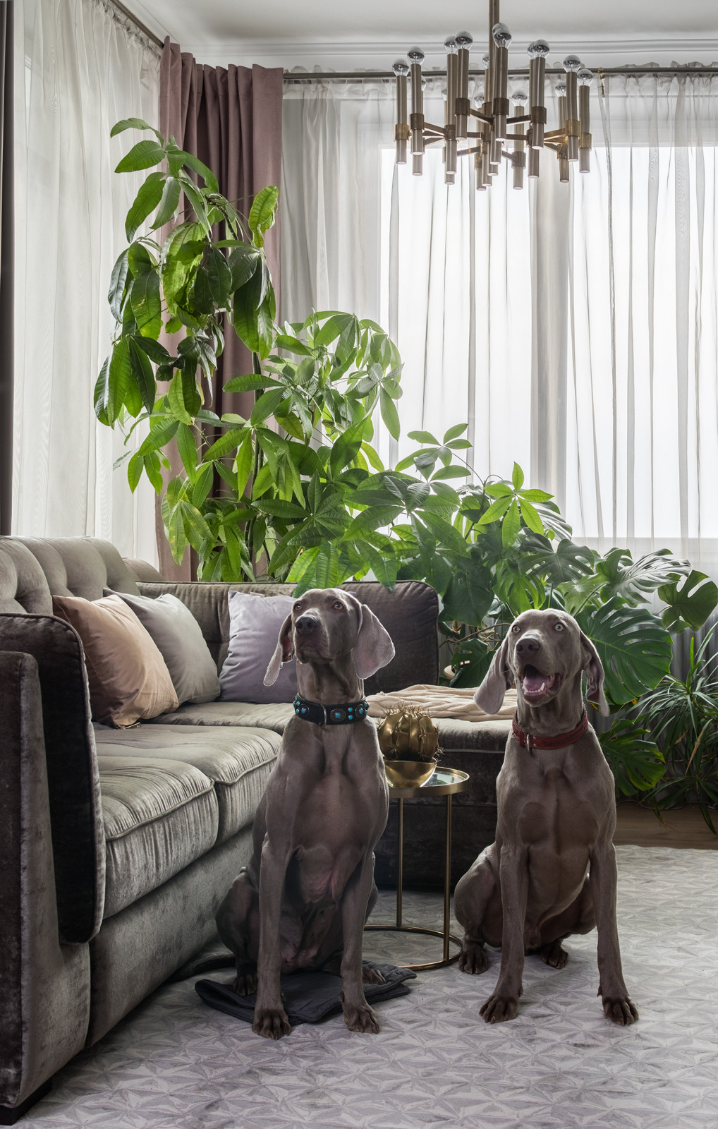 Наши ковры в интерьере