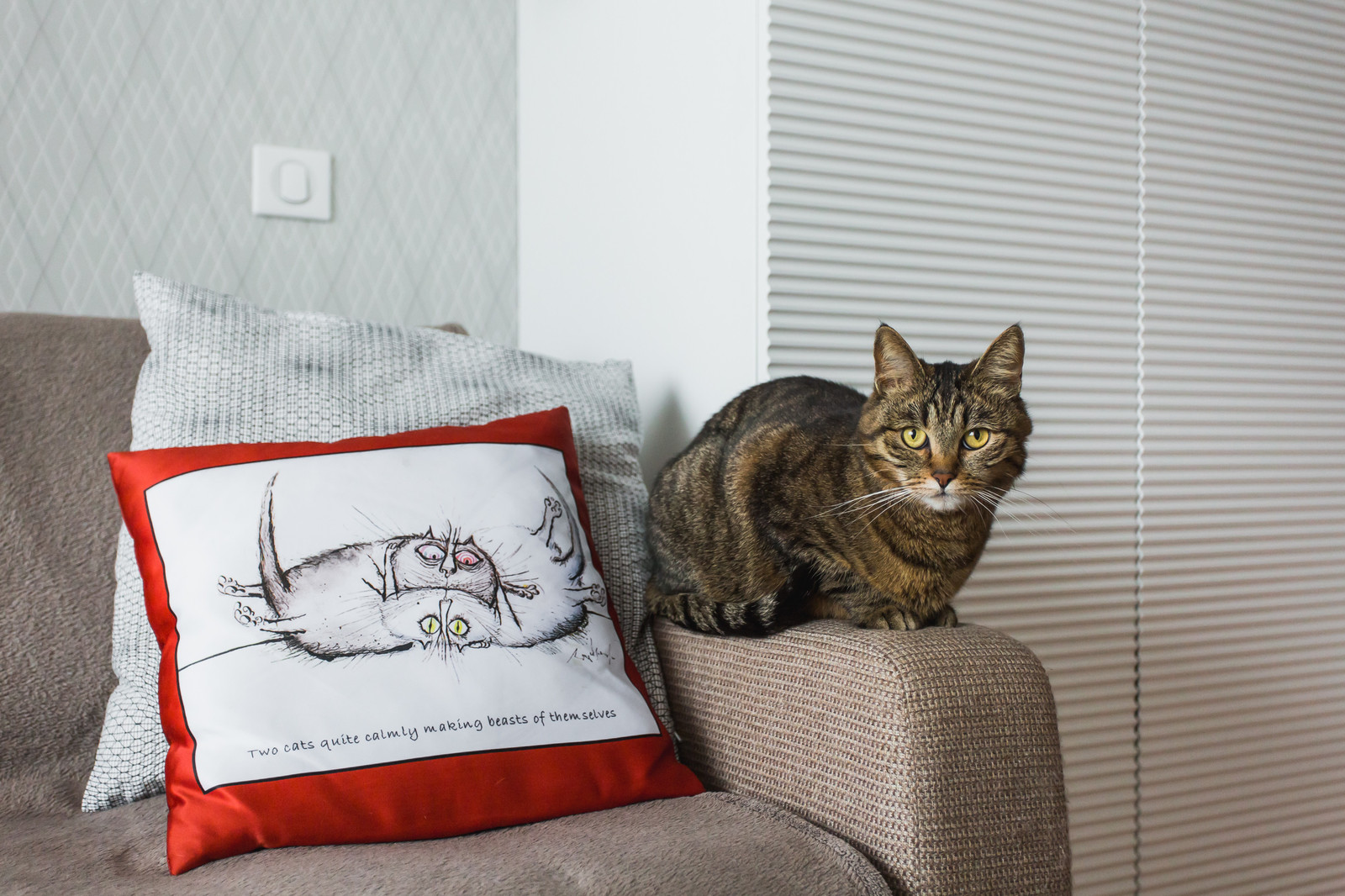 В гостях: Белый интерьер с красными акцентами на 33 квадратных метрах