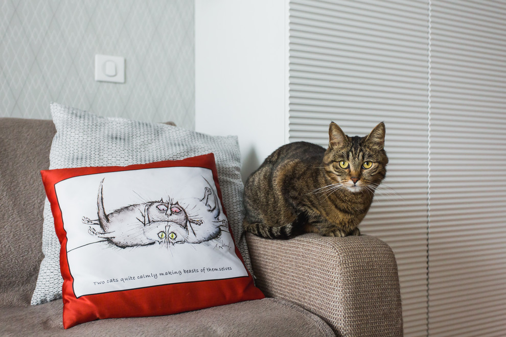 В гостях: Белый интерьер с красными акцентами на 33 квадратных метрах