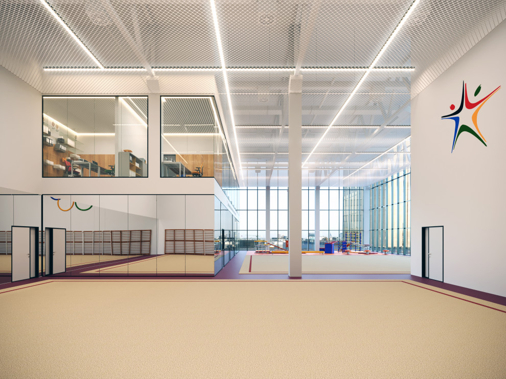 Центр Художественной гимнастики Юлии Барсуковой г. Санкт-Петербург