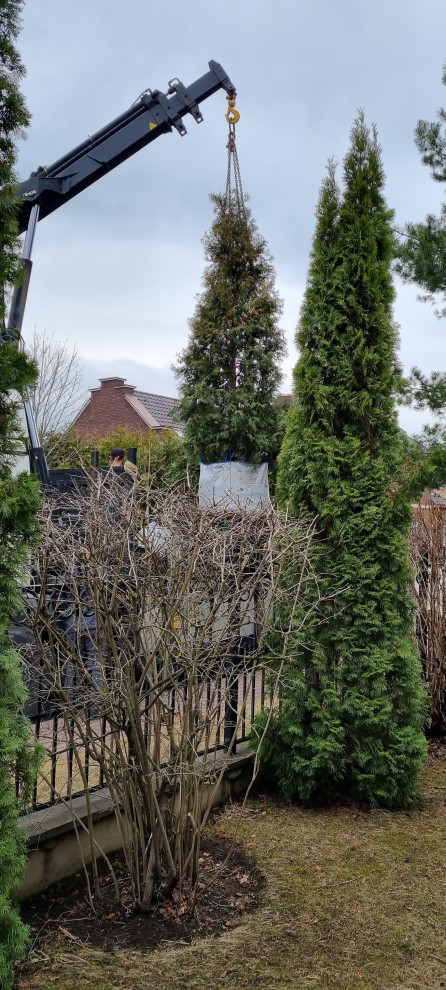 В работе 2022 и старше