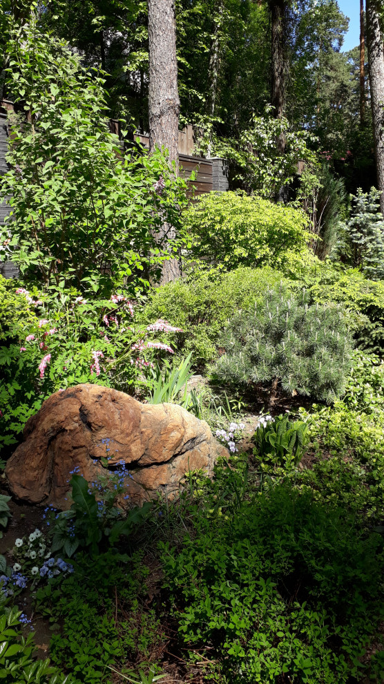 Обложка проекта: Барвиха теневой сад