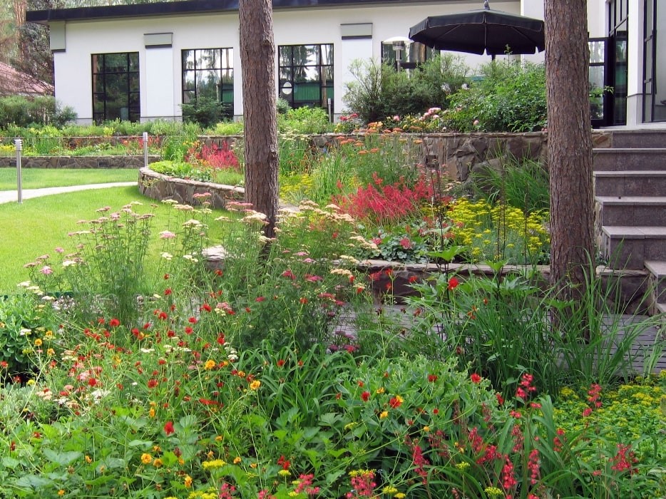 Обложка проекта: Рублево-Успенское шоссе. 55 соток.