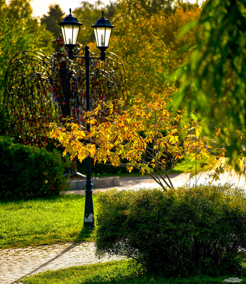 Прогулочная зона вдоль р. Яуза на территории ЦПКиО, г. Мытищи