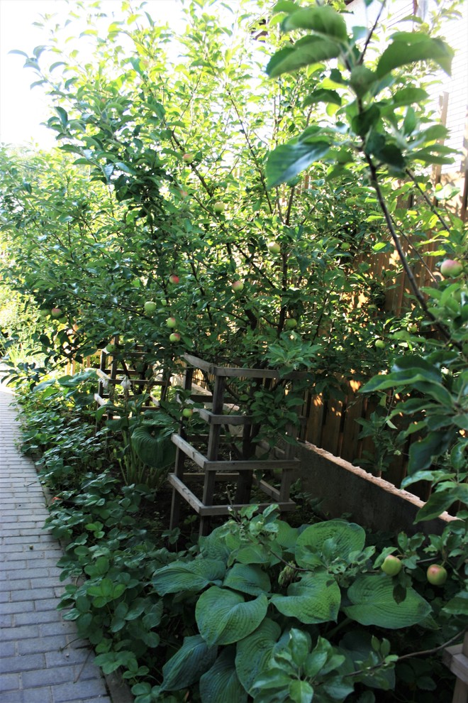 Сад в Летово