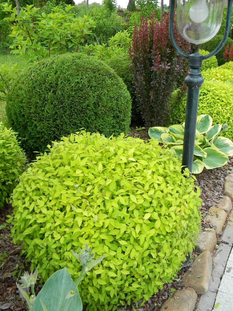 Обложка проекта: Примеры работ